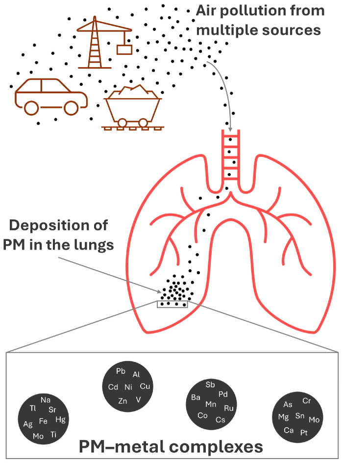 Lung Deposition of Particulate Matter as a Source of Metal Exposure: A Threat to Humans and Animals.