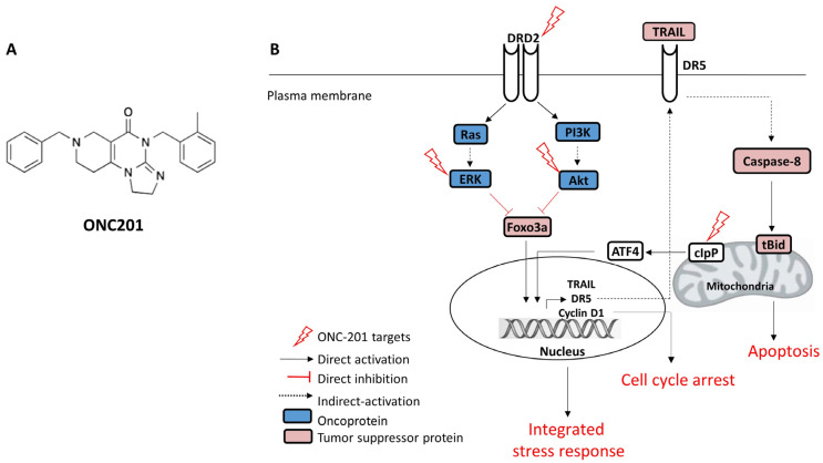 Combination of the First-in-Class Imipridone ONC201 and Standard Anticancer Therapies as a Rational Approach for Therapeutic Benefit.