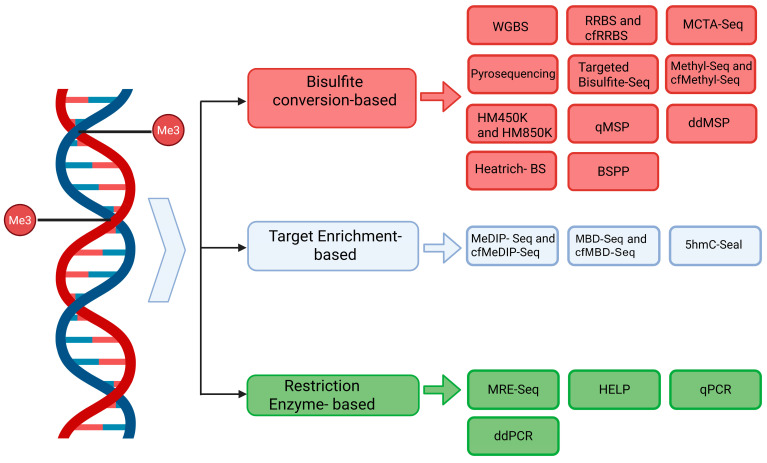Methylation Analyses in Liquid Biopsy of Lung Cancer Patients: A Novel and Intriguing Approach Against Resistance to Target Therapies and Immunotherapies.