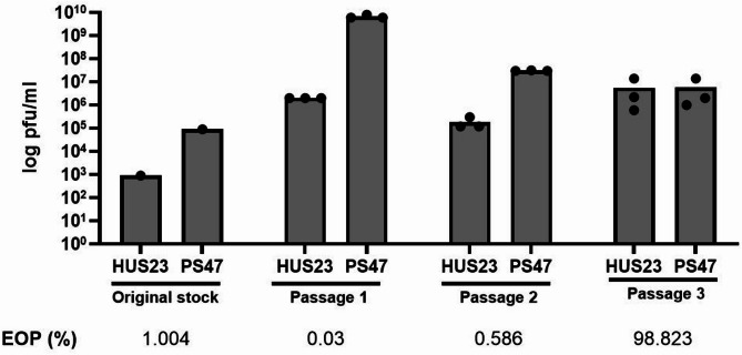 A link to the past: classical phage ISP infects the recently described Staphylococcus borealis species.