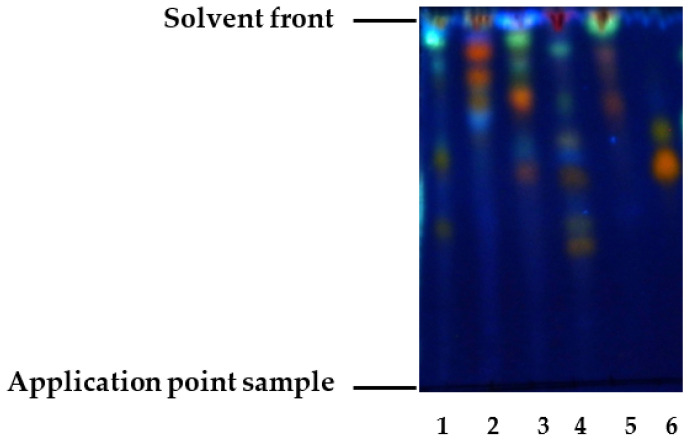 In Vitro Antibacterial Activity of Ethanolic Extracts Obtained from Plants Grown in Tolima, Colombia, Against Bacteria Associated with Bovine Mastitis.