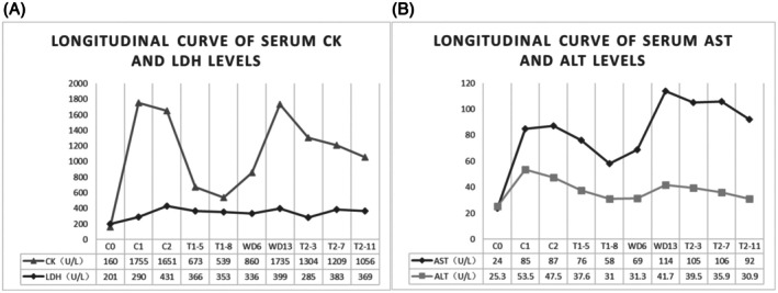 Trastuzumab Deruxtecan-Induced Myotoxicity: First Case Report About Myopathy in Patient With Normal Body Composition and Clinical Insights.