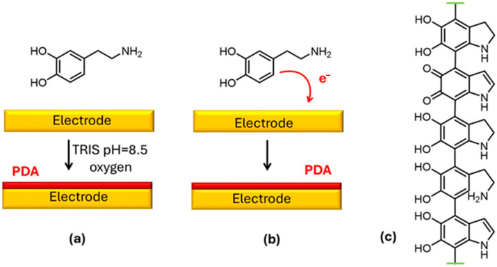 Melanin-Related Materials in Electrochemical Sensors for Monitoring the Environment and Food.