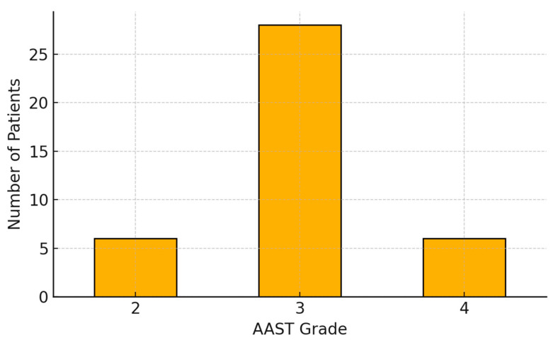 Real-World Outcomes of Splenic Artery Embolization in Blunt Splenic Trauma: Insights from an Italian Multicenter Cohort.