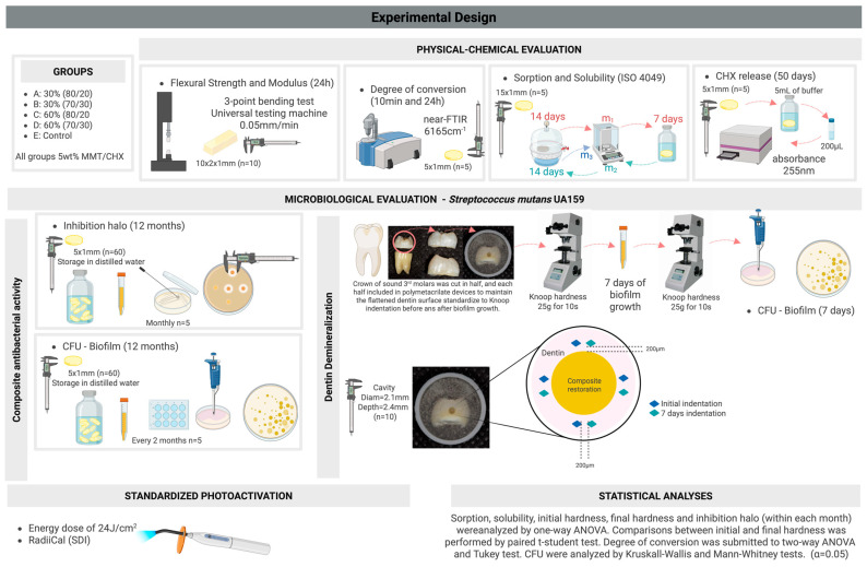 Antibacterial Resin Composites with Sustained Chlorhexidine Release: One-Year In Vitro Study.