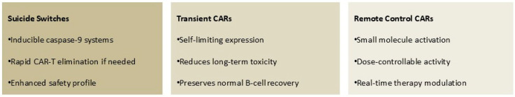 CAR-T Cell Therapies in B-Cell Acute Lymphoblastic Leukemia: Emerging Data and Open Issues.