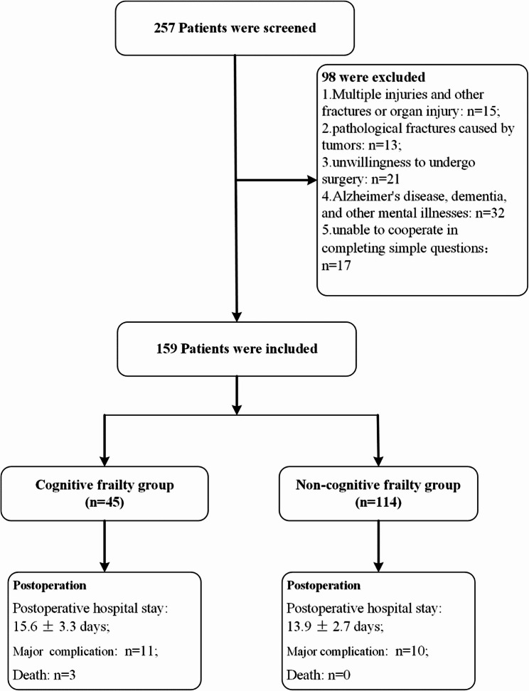 Geriatric cognitive frailty and short-term prognosis following hip fracture surgery.