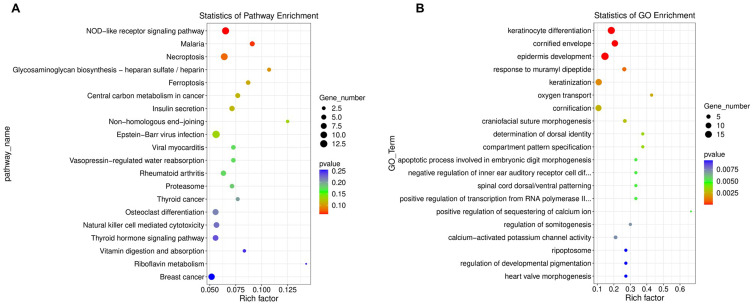 lncRNA RNA AC114812 Regulates the Inflammatory Response of Periodontal Ligament Cells via the miR-181a-5p-SPP1 Axis.