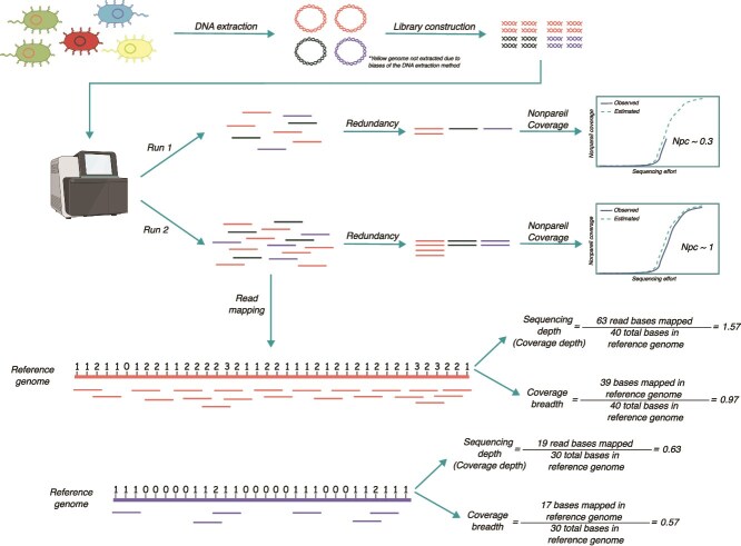 Differences in metagenome coverage may confound abundance-based and diversity conclusions and how to deal with them.