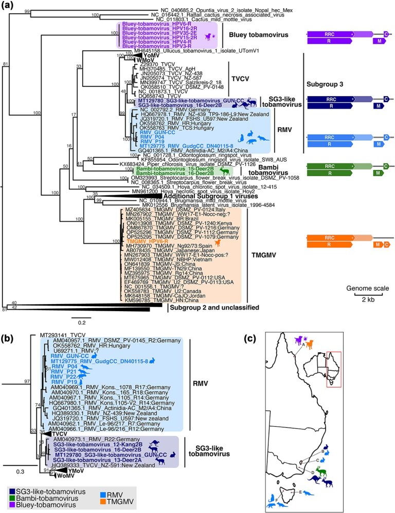 Plant biosecurity threats detected using metatranscriptomic sequencing of animal gut contents.