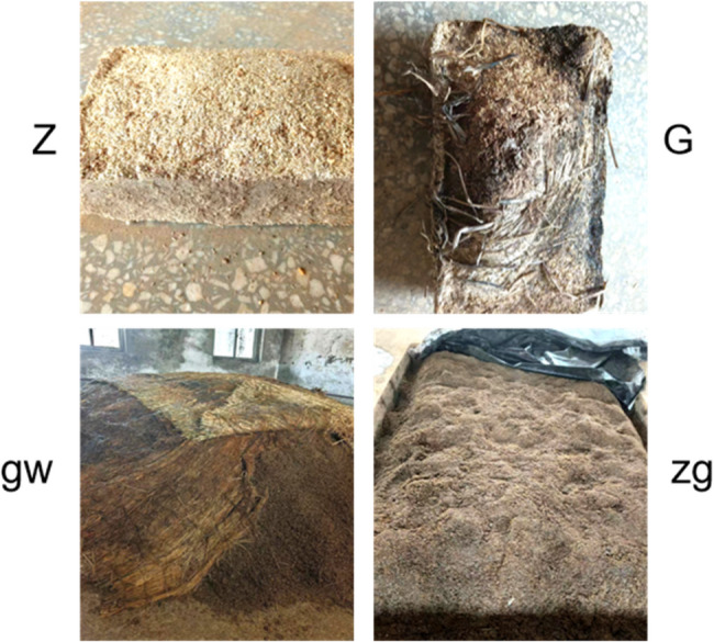 Comparative analysis of metagenomics between high- and medium-temperature daqu, and microbial succession in Jiang-Nong Jianxiang Baijiu fermentation.