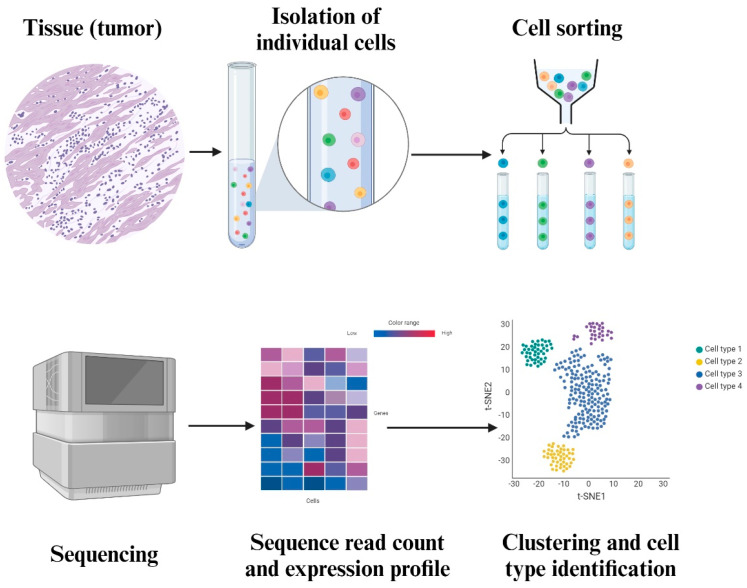 Decoding the Tumor Microenvironment: Insights and New Targets from Single-Cell Sequencing and Spatial Transcriptomics.