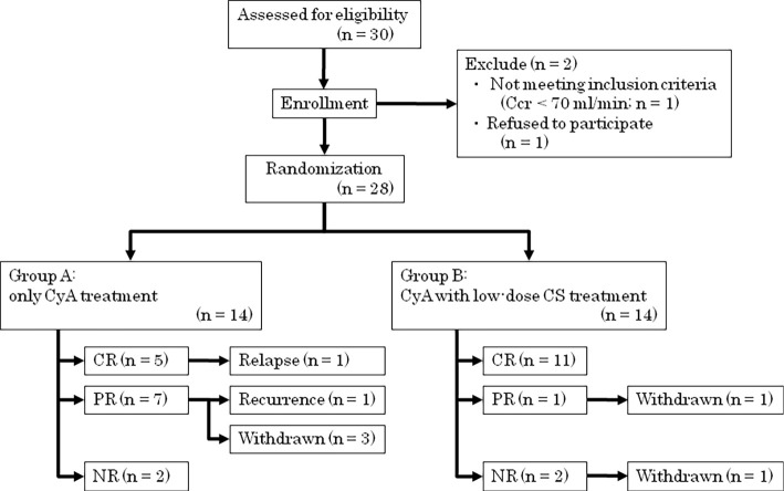 Randomized Prospective Controlled Open-labeled Trial of Cyclosporine with/without Low-dose Oral Corticosteroids in Idiopathic Membranous Nephropathy in Adults with Nephrotic Syndrome.