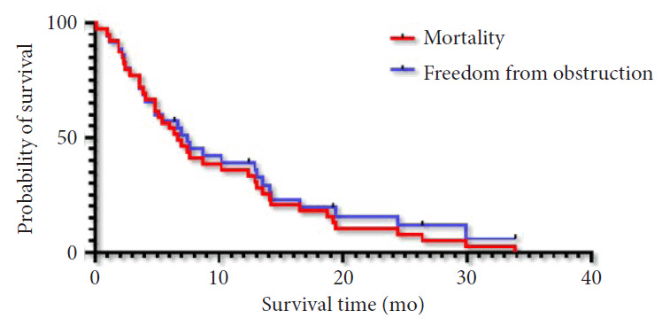 Colonic stenting for colorectal cancer: stoma avoidance with acceptable radiation exposure.