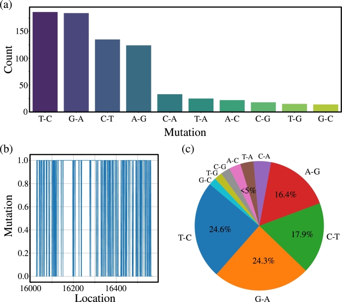 Beyond sequence: A physics-informed machine learning framework for predicting DNA mutations.
