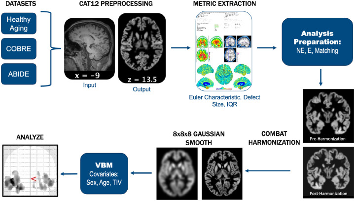 Using Propensity Score Matching to Control for MRI Scan Quality.