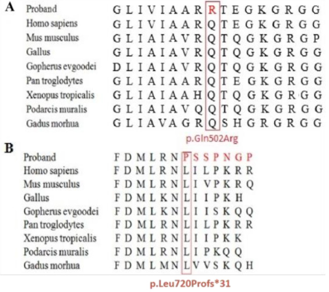 Clinical and genetic analysis of four Chinese patients with holocarboxylase synthetase deficiency and metabolic acidosis.