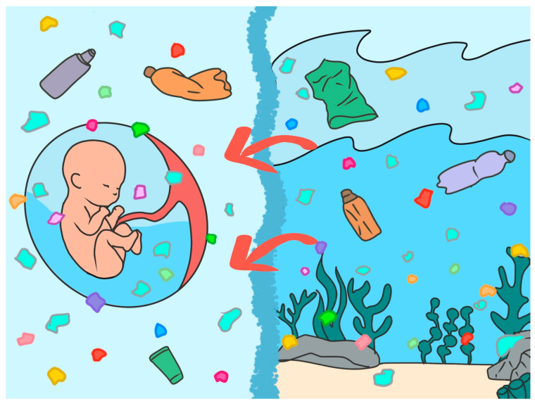 Amniotic Fluid and Ocean Water: Evolutionary Echoes, Chemical Parallels, and the Infiltration of Micro- and Nanoplastics.