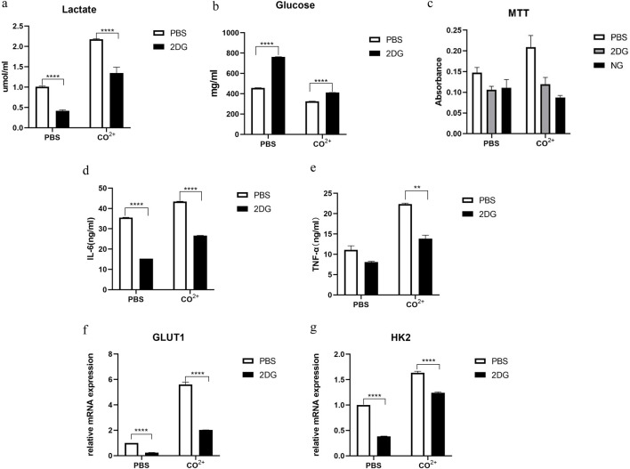 Effect of cobalt ions on TNF-α and IL-6 secretion by fibroblasts surrounding hip periprosthetic membrane.