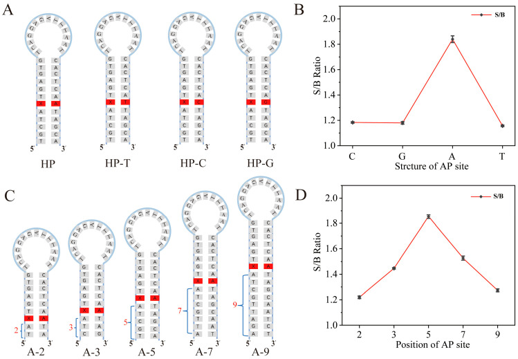 Label-Free and Ultrasensitive APE1 Detection Based on Hybridization Chain Reaction Combined with G-Quadruplex.