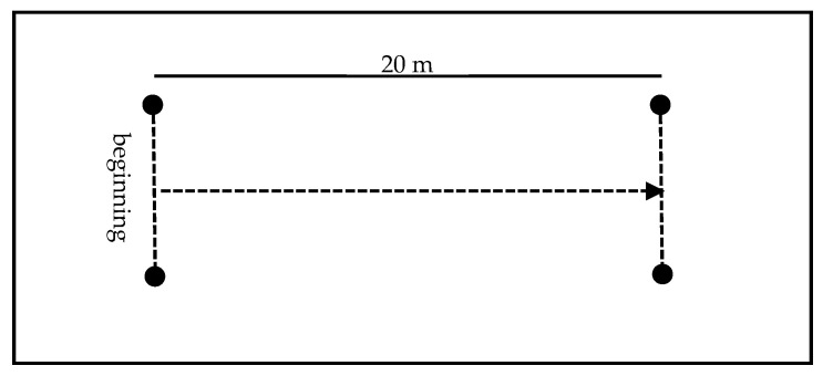 The Impact of an 8-Week Running Technique Program on Linear and Change-of-Direction Speed in Youth Football-A Pilot Study.