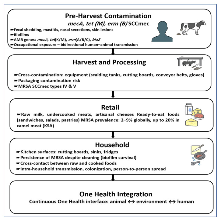 From Farm to Fork: Antimicrobial-Resistant Bacterial Pathogens in Livestock Production and the Food Chain.