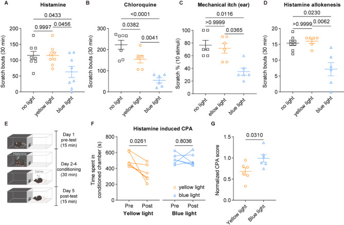 Identification of VGLUT3-expressing LTMRs-recruited spinal circuits for itch inhibition.