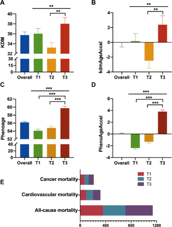 Accelerated biological aging mediates the associations of stress hyperglycemia ratio (SHR) with mortality in type 2 diabetes and obesity (diabesity).