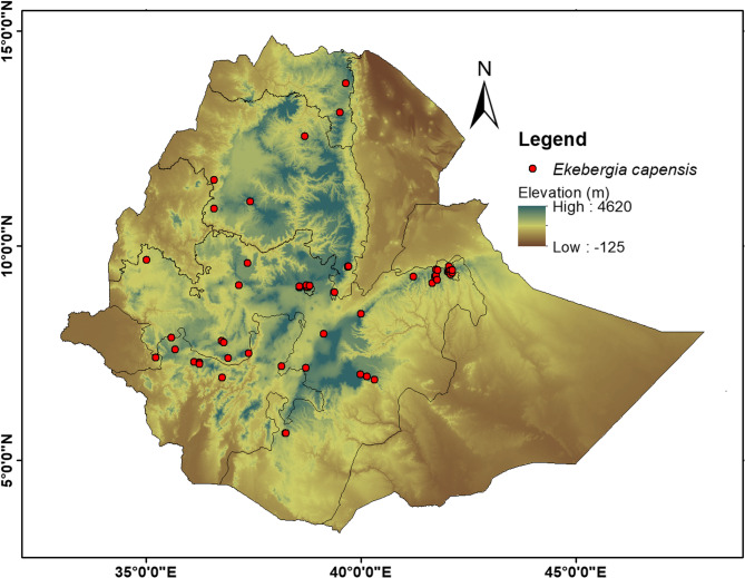 Modelling the distribution of Ekebergia capensis sparrm. (Meliaceae) under the current and future climate change scenarios in Ethiopia.
