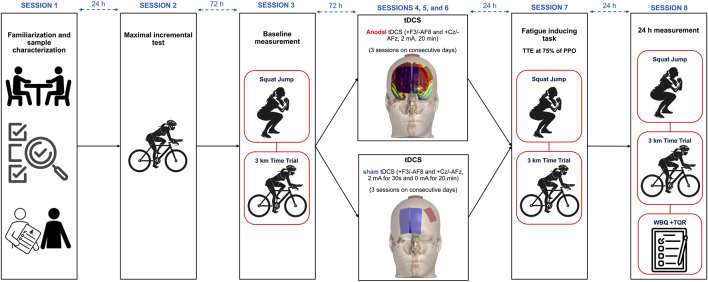 Effect of repeated sessions of dual-site anodal tDCS on post-exercise performance and subjective recovery in recreationally active females: a randomized controlled trial.