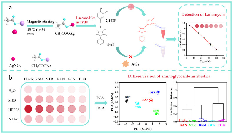 CH<sub>3</sub>COOAg with Laccase-like Activity for Differentiation and Detection of Aminoglycoside Antibiotics.