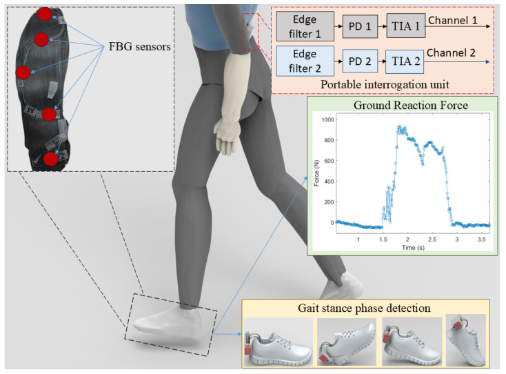 Fiber Bragg Grating Embedded 3D-Printed Insole with Commercial and Portable Reader for Stance Phase Determination.