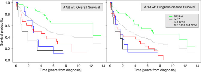 Fundamental prognostic difference of ATM gene mutation and deletion in newly diagnosed mantle cell lymphoma.