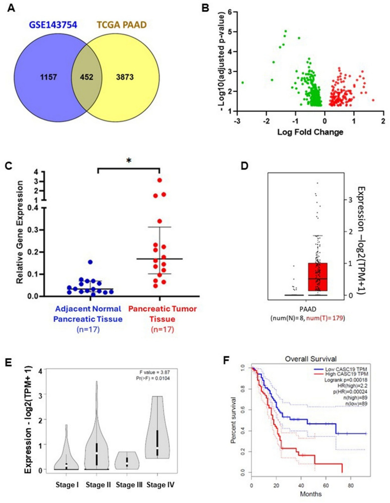 LncRNA CASC19 promotes pancreatic cancer progression by increasing PSPC1 protein stability and facilitating the oncogenic PSPC1/ β-Catenin pathway.