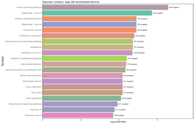 Circulating miRNAs are Down-regulated in Asthmatic Patients; Case-control Study.