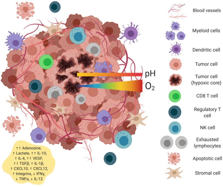 Engineering Universal Cancer Immunity: Non-Tumor-Specific mRNA Vaccines Trigger Epitope Spreading in Cold Tumors.