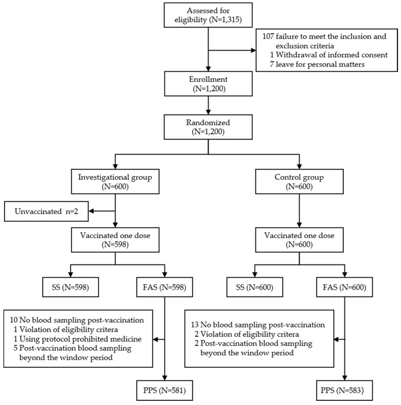 Safety and Immunogenicity of Single-Dose of Adsorbed Tetanus Vaccine in Adults Aged 18-44 Years: Randomized, Double-Blind, Positive-Controlled Phase I/III Clinical Trial.