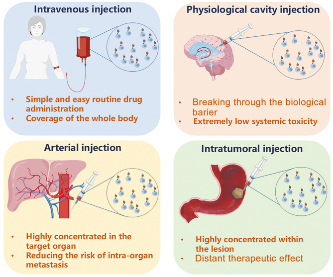 Strategies and challenges in promoting chimeric antigen receptor T cells trafficking and infiltration of solid tumors.