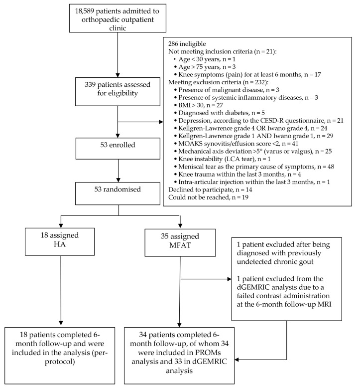 Clinical and dGEMRIC Evaluation of Microfragmented Adipose Tissue Versus Hyaluronic Acid in Inflammatory Phenotype of Knee Osteoarthritis: A Randomized Controlled Trial.