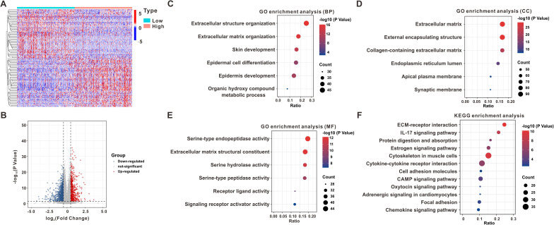 ANXA2 Regulates RANKL-Induced Osteoclast Differentiation Through STAT3 Signaling in Breast Cancer.