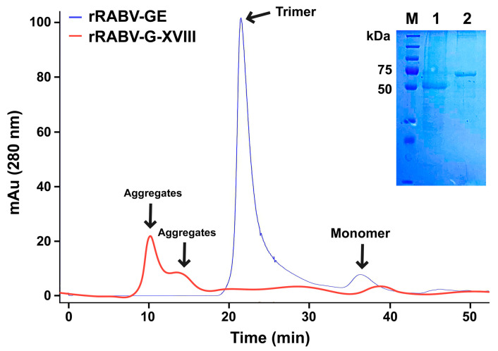 Immunogenicity and Antigenicity of the Recombinant Ectodomain of Rabies Virus Glycoprotein Containing the Human Collagen XVIII Trimerization Domain.