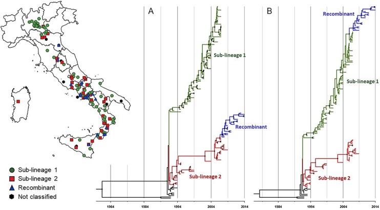 Genetic evolution of swine vesicular disease viruses circulating in Italy from 1992 to the eradication in 2015 and emergence of a recent recombinant strain.