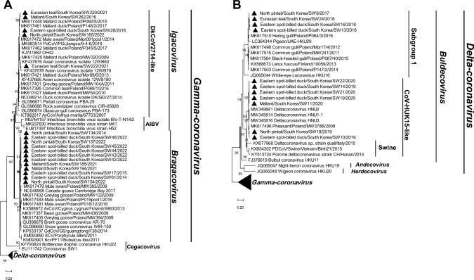 Long-Term Surveillance of Avian Coronaviruses from Wild Bird in South Korea.