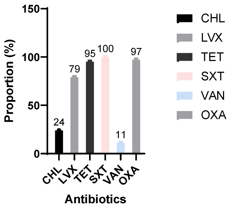 Asymptomatic Pneumococcal Carriage, Antimicrobial Resistance, and Associated Risk Factors Among Paediatric Healthcare Workers in Benin.