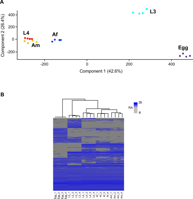 Comprehensive developmental somatic proteome atlas of Haemonchus contortus underpinned by a chromosome-scale genome and deep tandem mass spectrometry.