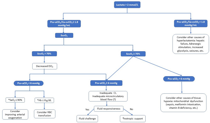 Use of CO<sub>2</sub>-derived variables in critically ill patients.