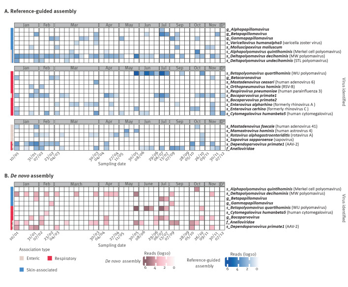 Shotgun metagenomics on indoor air for surveillance of respiratory, enteric, and skin viruses in a Belgian daycare setting, January to December 2022.