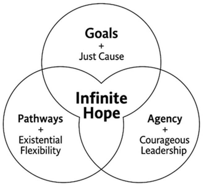 Infinite Hope: Reframing Disconnection in Emerging Adulthood Through Purpose, Agency, and Identity.