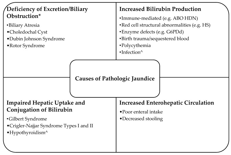 Hereditary Spherocytosis: Review of Presentation at Birth.