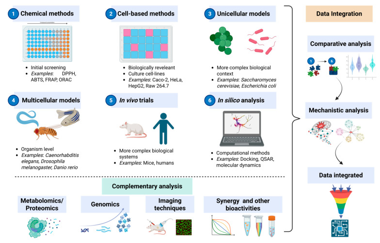 Emerging and Versatile Non-Mammalian Model Organisms for Studying the In Vivo Antioxidant Properties of Food-Derived Bioactive Compounds.